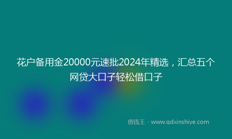 花户备用金20000元速批2024年精选，汇总五个网贷大口子轻松借口子