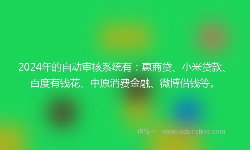 2024年的自动审核系统有：惠商贷、小米贷款、百度有钱花、中原消费金融、微博借钱等。