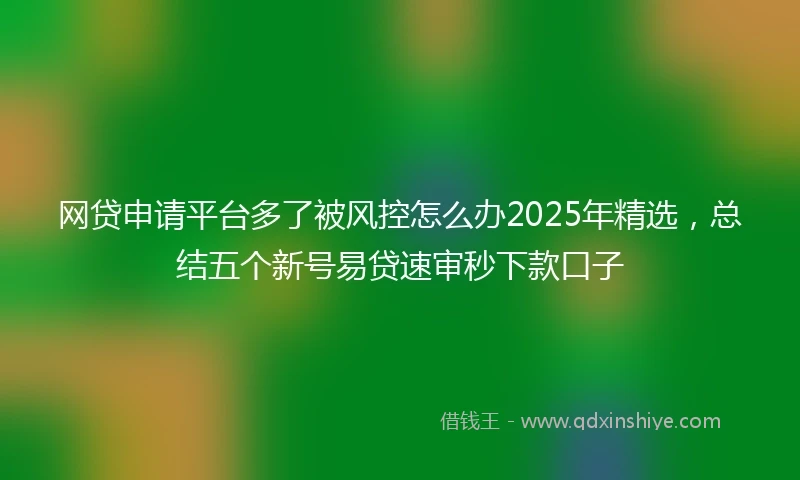 网贷申请平台多了被风控怎么办2025年精选，总结五个新号易贷速审秒下款口子