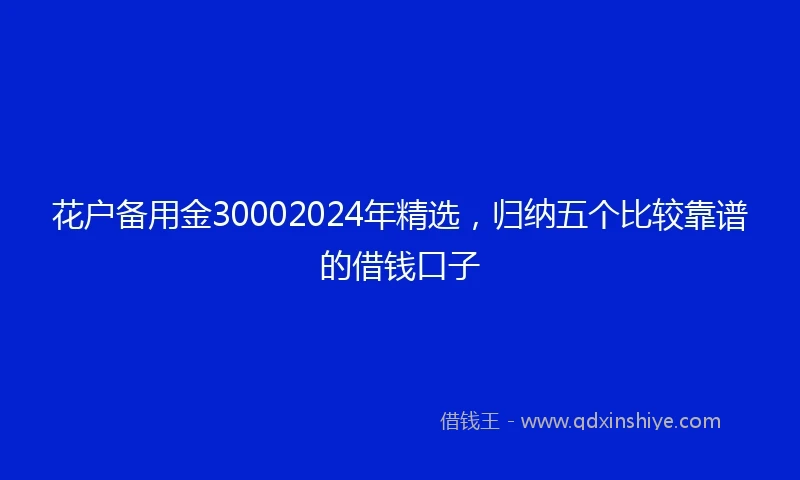 花户备用金30002024年精选，归纳五个比较靠谱的借钱口子