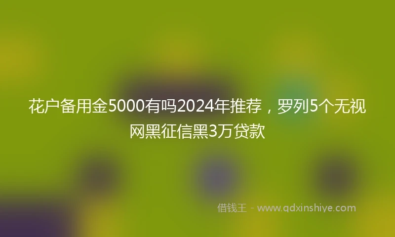 花户备用金5000有吗2024年推荐，罗列5个无视网黑征信黑3万贷款