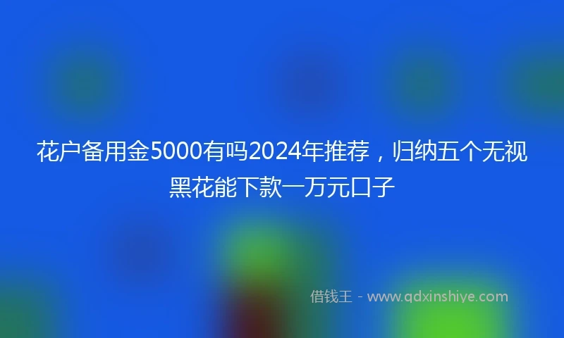 花户备用金5000有吗2024年推荐，归纳五个无视黑花能下款一万元口子