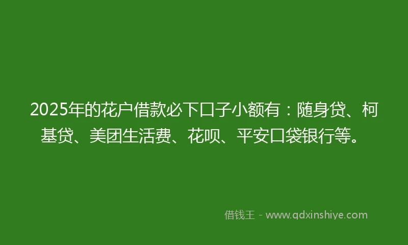 2025年的花户借款必下口子小额有：随身贷、柯基贷、美团生活费、花呗、平安口袋银行等。