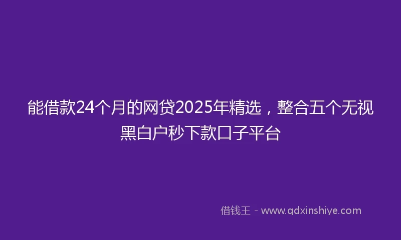 能借款24个月的网贷2025年精选，整合五个无视黑白户秒下款口子平台