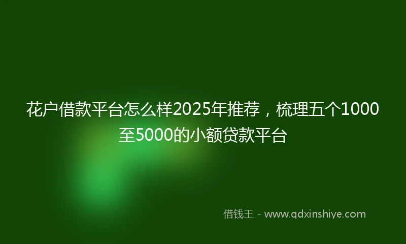 花户借款平台怎么样2025年推荐，梳理五个1000至5000的小额贷款平台