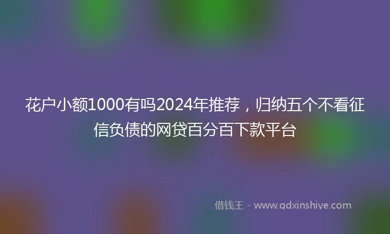 花户小额1000有吗2024年推荐，归纳五个不看征信负债的网贷百分百下款平台