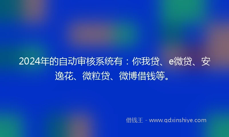 2024年的自动审核系统有：你我贷、e微贷、安逸花、微粒贷、微博借钱等。