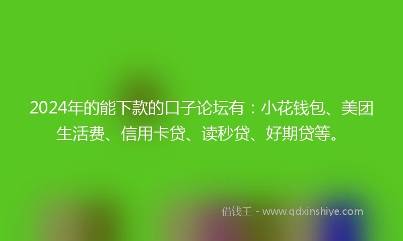 2024年的能下款的口子论坛有：小花钱包、美团生活费、信用卡贷、读秒贷、好期贷等。
