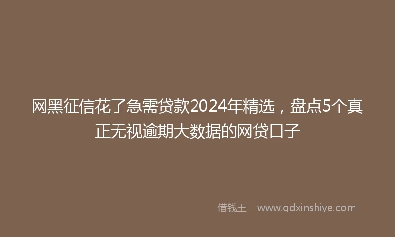 网黑征信花了急需贷款2024年精选，盘点5个真正无视逾期大数据的网贷口子