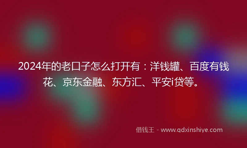 2024年的老口子怎么打开有：洋钱罐、百度有钱花、京东金融、东方汇、平安i贷等。