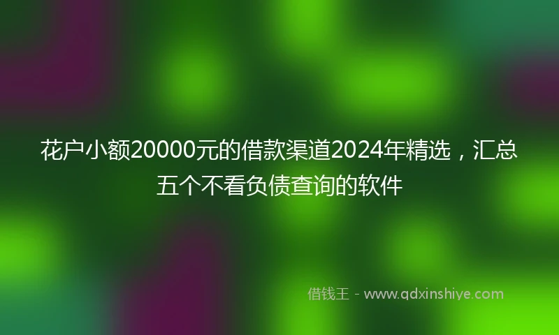 花户小额20000元的借款渠道2024年精选,汇总五个不看负债查询的软件