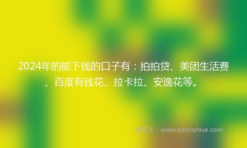 2024年的能下钱的口子有：拍拍贷、美团生活费、百度有钱花、拉卡拉、安逸花等。