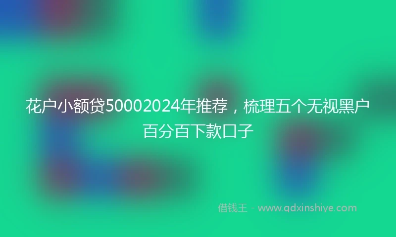 花户小额贷50002024年推荐，梳理五个无视黑户百分百下款口子