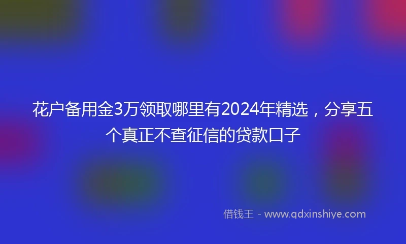 花户备用金3万领取哪里有2024年精选，分享五个真正不查征信的贷款口子