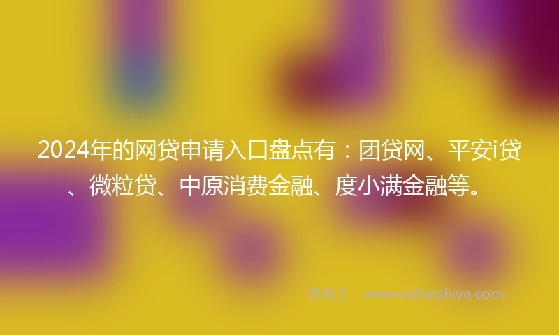 2024年的网贷申请入口盘点有：团贷网、平安i贷、微粒贷、中原消费金融、度小满金融等。