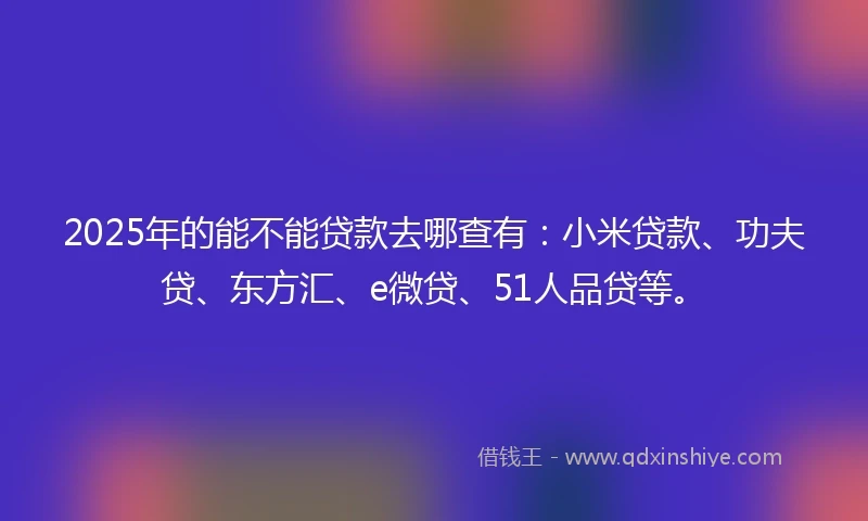 2025年的能不能贷款去哪查有：小米贷款、功夫贷、东方汇、e微贷、51人品贷等。