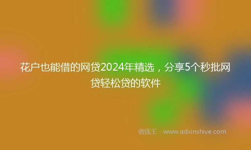 花户也能借的网贷2024年精选，分享5个秒批网贷轻松贷的软件
