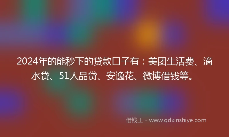 2024年的能秒下的贷款口子有：美团生活费、滴水贷、51人品贷、安逸花、微博借钱等。