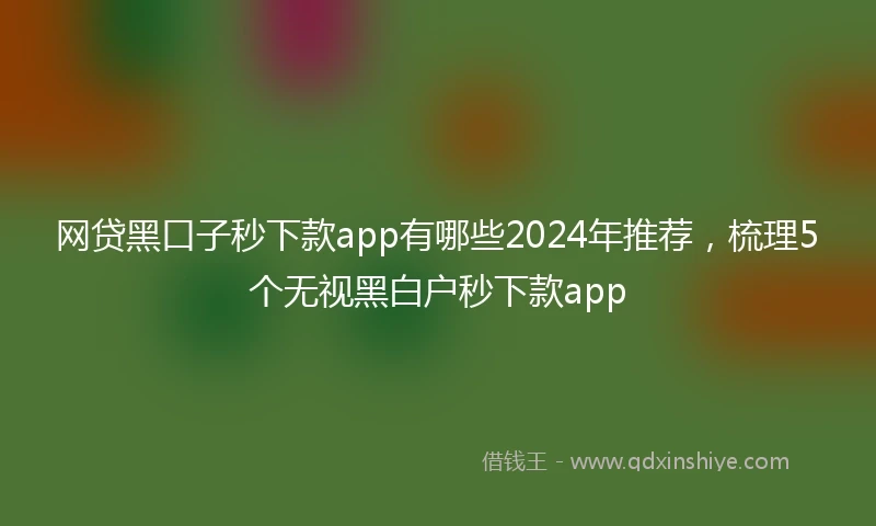 网贷黑口子秒下款app有哪些2024年推荐，梳理5个无视黑白户秒下款app