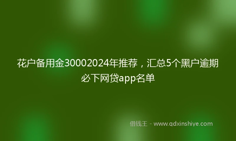 花户备用金30002024年推荐，汇总5个黑户逾期必下网贷app名单