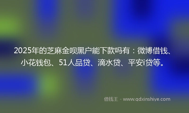 2025年的芝麻金呗黑户能下款吗有：微博借钱、小花钱包、51人品贷、滴水贷、平安i贷等。
