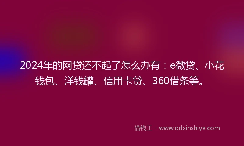 2024年的网贷还不起了怎么办有：e微贷、小花钱包、洋钱罐、信用卡贷、360借条等。