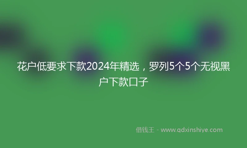 花户低要求下款2024年精选，罗列5个5个无视黑户下款口子