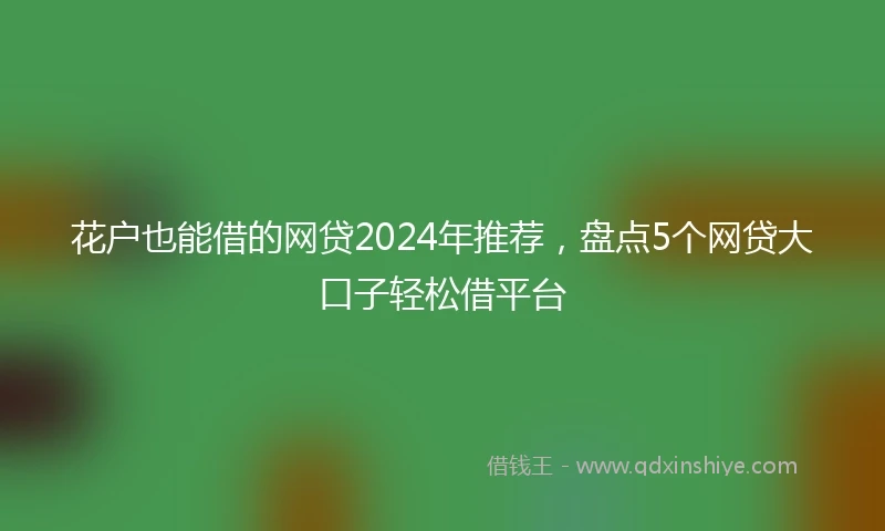 花户也能借的网贷2024年推荐，盘点5个网贷大口子轻松借平台