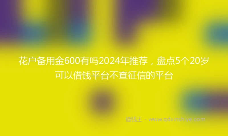 花户备用金600有吗2024年推荐，盘点5个20岁可以借钱平台不查征信的平台