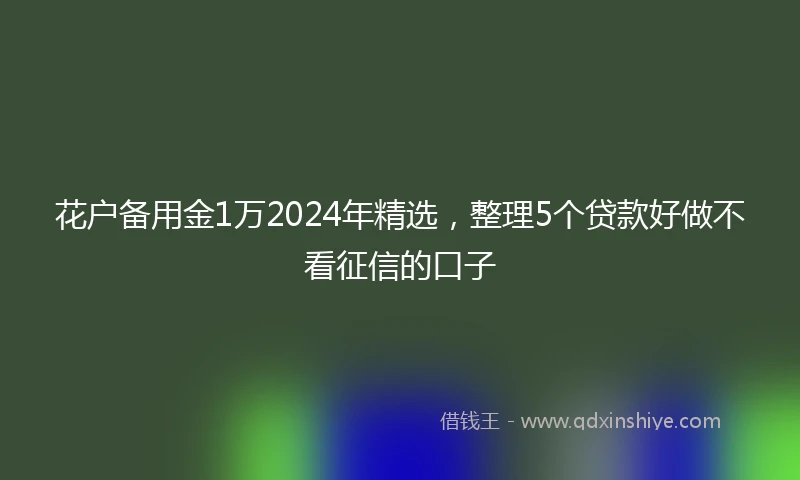 花户备用金1万2024年精选，整理5个贷款好做不看征信的口子