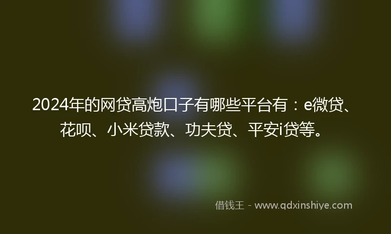 2024年的网贷高炮口子有哪些平台有：e微贷、花呗、小米贷款、功夫贷、平安i贷等。