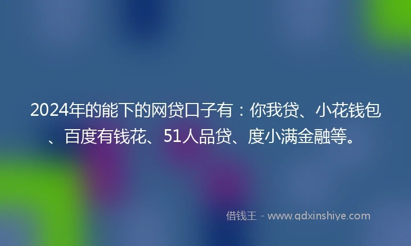 2024年的能下的网贷口子有：你我贷、小花钱包、百度有钱花、51人品贷、度小满金融等。