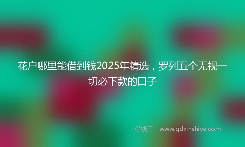 花户哪里能借到钱2025年精选，罗列五个无视一切必下款的口子