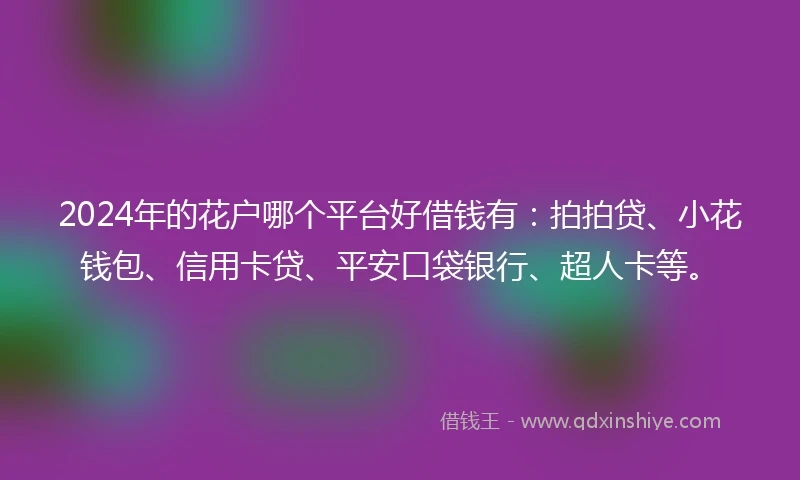 2024年的花户哪个平台好借钱有：拍拍贷、小花钱包、信用卡贷、平安口袋银行、超人卡等。