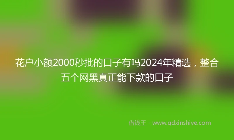 花户小额2000秒批的口子有吗2024年精选，整合五个网黑真正能下款的口子