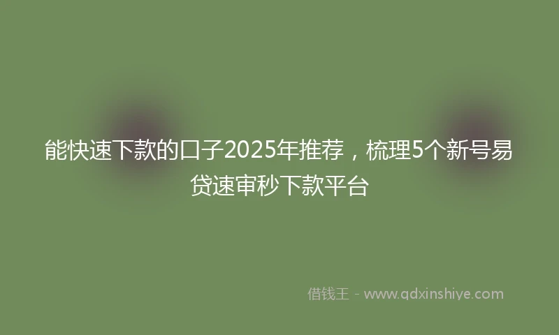 能快速下款的口子2025年推荐，梳理5个新号易贷速审秒下款平台