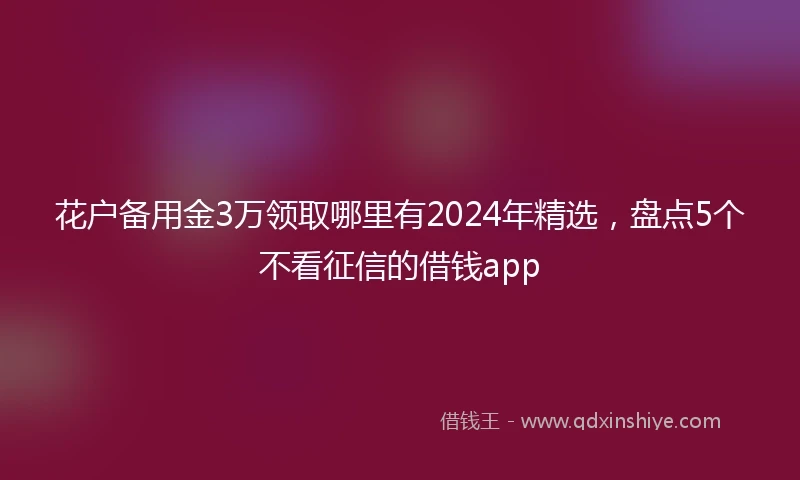 花户备用金3万领取哪里有2024年精选，盘点5个不看征信的借钱app