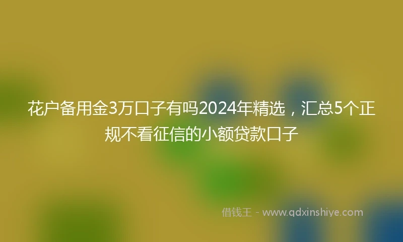 花户备用金3万口子有吗2024年精选，汇总5个正规不看征信的小额贷款口子