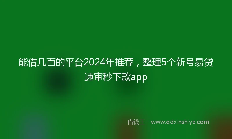能借几百的平台2024年推荐，整理5个新号易贷速审秒下款app
