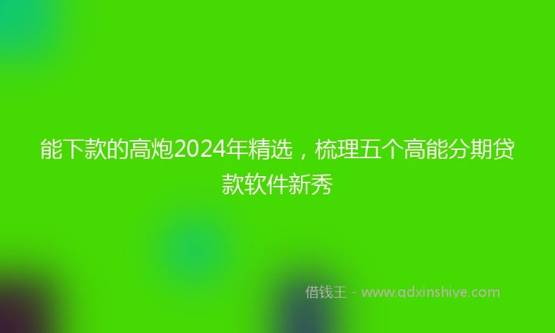 能下款的高炮2024年精选，梳理五个高能分期贷款软件新秀