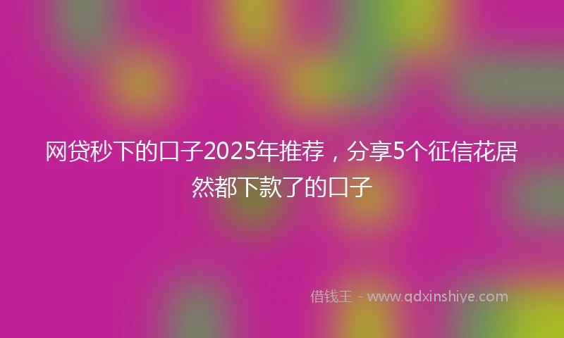 网贷秒下的口子2025年推荐，分享5个征信花居然都下款了的口子