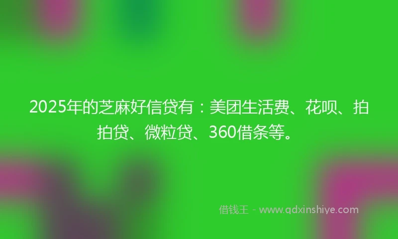 2025年的芝麻好信贷有：美团生活费、花呗、拍拍贷、微粒贷、360借条等。
