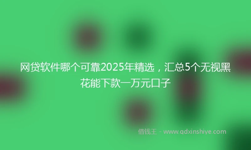 网贷软件哪个可靠2025年精选，汇总5个无视黑花能下款一万元口子