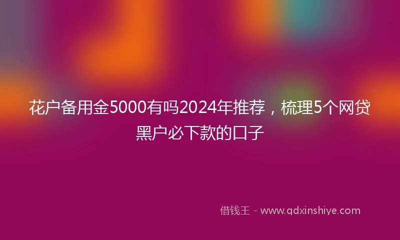 花户备用金5000有吗2024年推荐，梳理5个网贷黑户必下款的口子