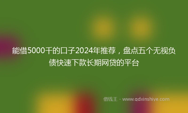 能借5000千的口子2024年推荐，盘点五个无视负债快速下款长期网贷的平台