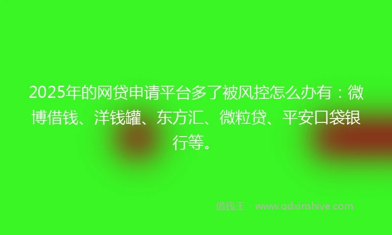 2025年的网贷申请平台多了被风控怎么办有：微博借钱、洋钱罐、东方汇、微粒贷、平安口袋银行等。