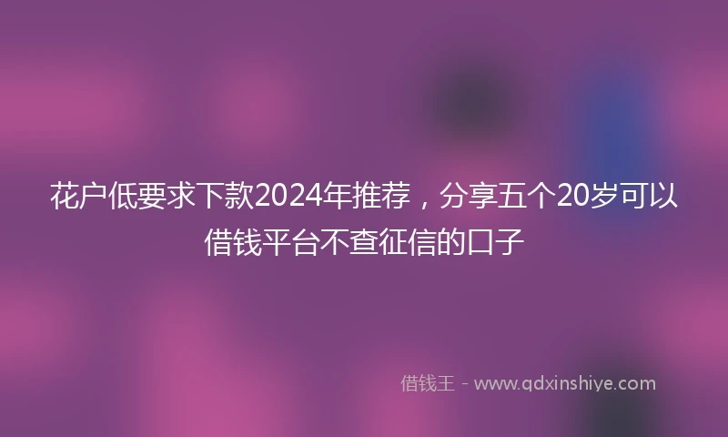 花户低要求下款2024年推荐，分享五个20岁可以借钱平台不查征信的口子