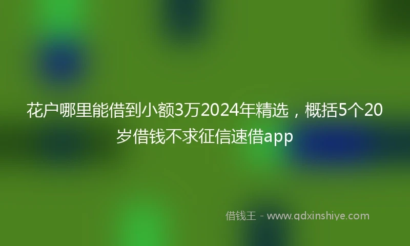 花户哪里能借到小额3万2024年精选，概括5个20岁借钱不求征信速借app