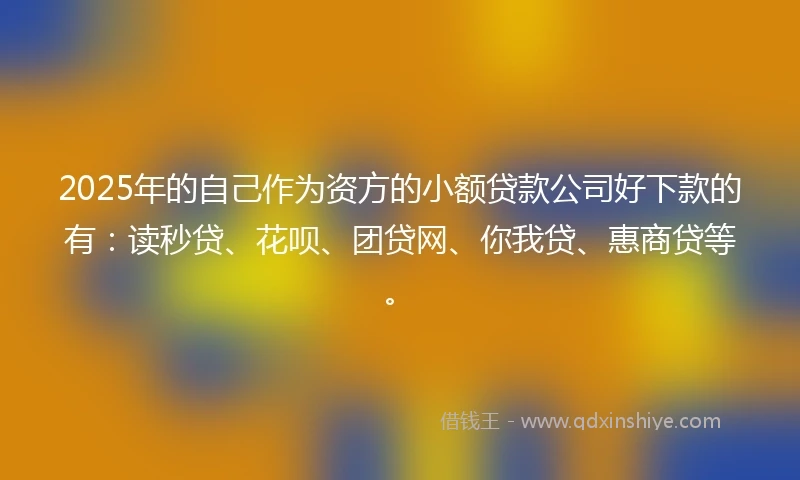 2025年的自己作为资方的小额贷款公司好下款的有：读秒贷、花呗、团贷网、你我贷、惠商贷等。
