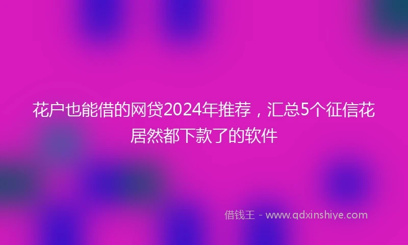 花户也能借的网贷2024年推荐，汇总5个征信花居然都下款了的软件